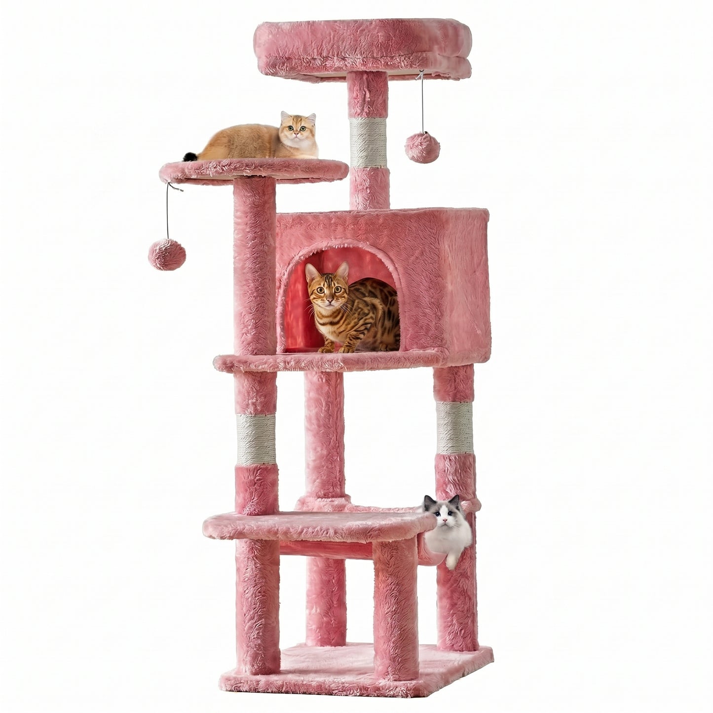 Pet Care & Grooming Too