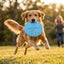 Silicone Flying Disc – Interactive Dog & Cat Throw Toy for Outdoor Play
