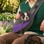 Breathable Pet Carrier Sling Bag