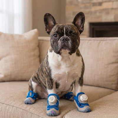 Adjustable Mesh Paw Protector Boots for Dogs (Set of 4)