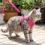 Pink Adjustable Cat Harness & Leash Set with Reflective Trim.