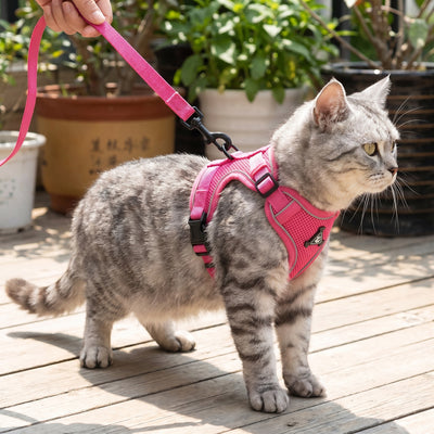 Pink Adjustable Cat Harness & Leash Set with Reflective Trim.