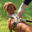 Tactical AirTag Dog Harness & Leash Set — No-Pull, Reflective, Built for Adventure