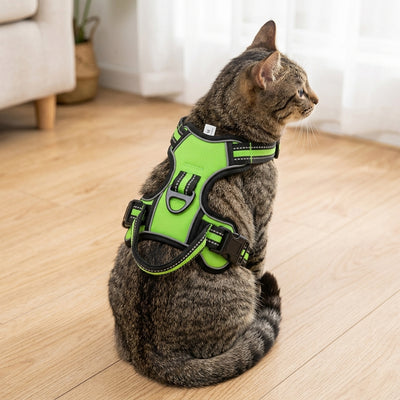 Reflective No-Pull Cat Harness Vest – Adjustable Nylon Breathable Chest Strap