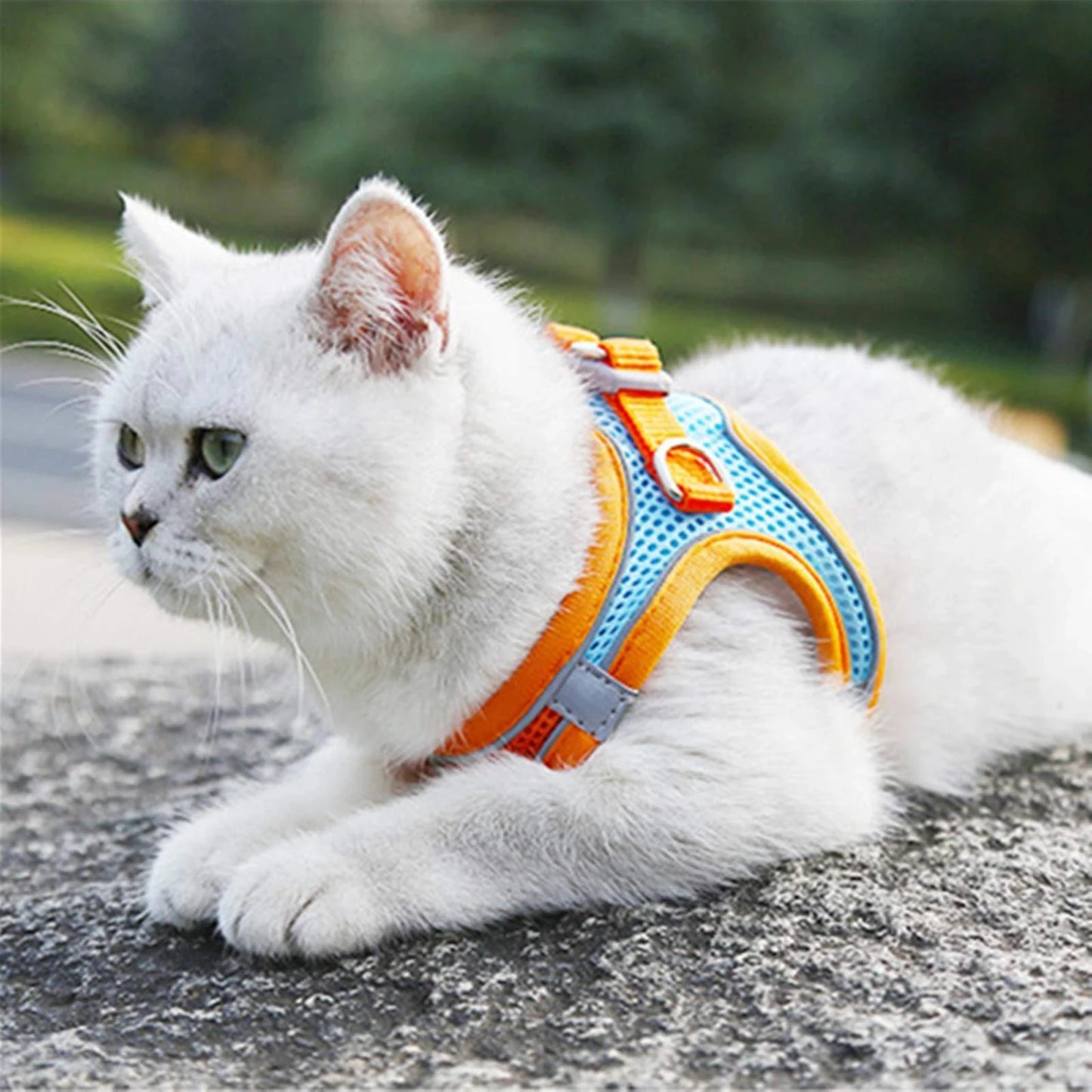 Reflective Adjustable Pet Harness Set