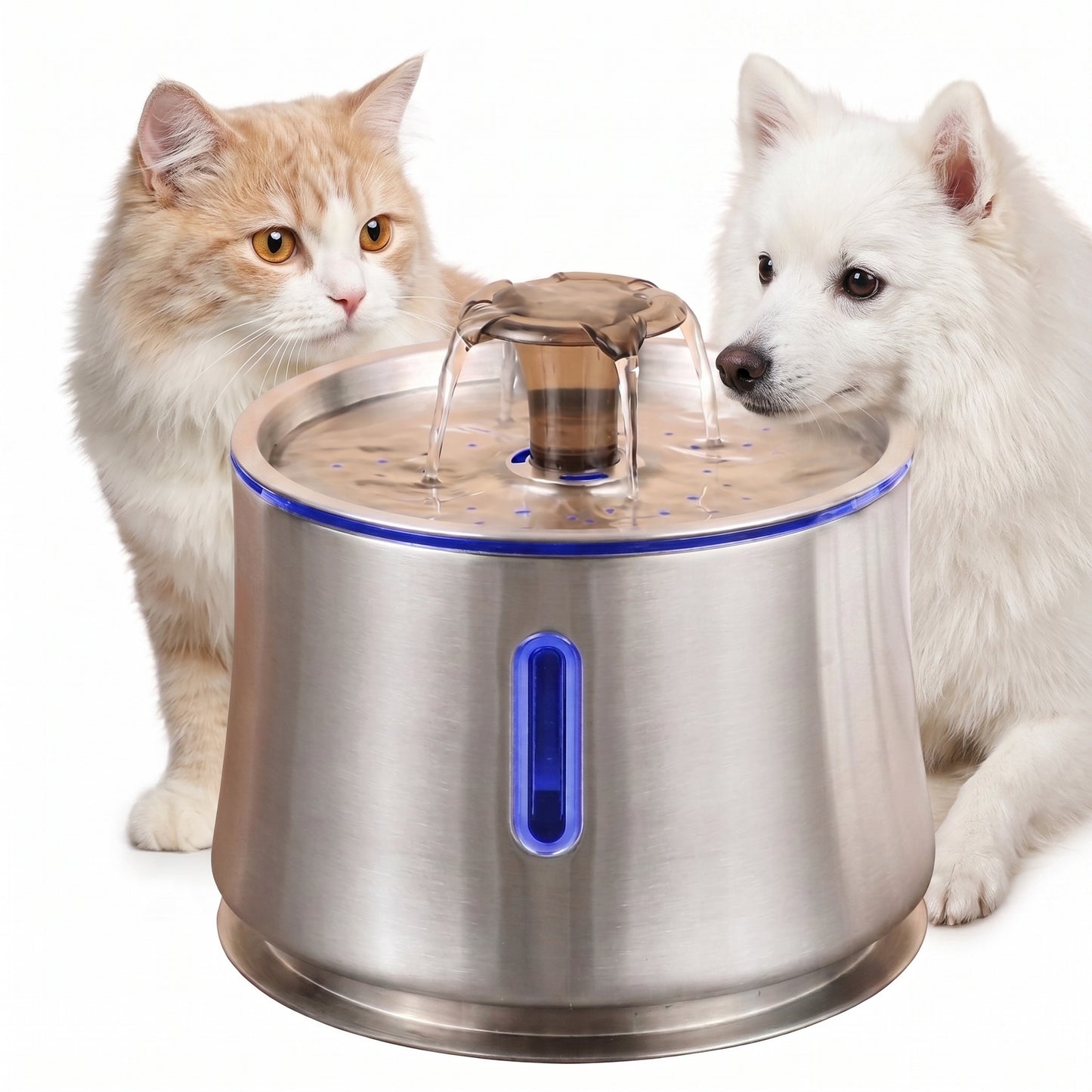 Cat Water Fountain