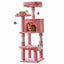 Pet Care & Grooming Too