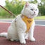 Cat Puppy Outdoor Walking Supplies Fashion Pet Harness and Leash Set for Small Dogs Cats Breathable Durable Kitten Harnesses