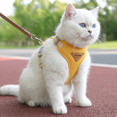 Cat Puppy Outdoor Walking Supplies Fashion Pet Harness and Leash Set for Small Dogs Cats Breathable Durable Kitten Harnesses