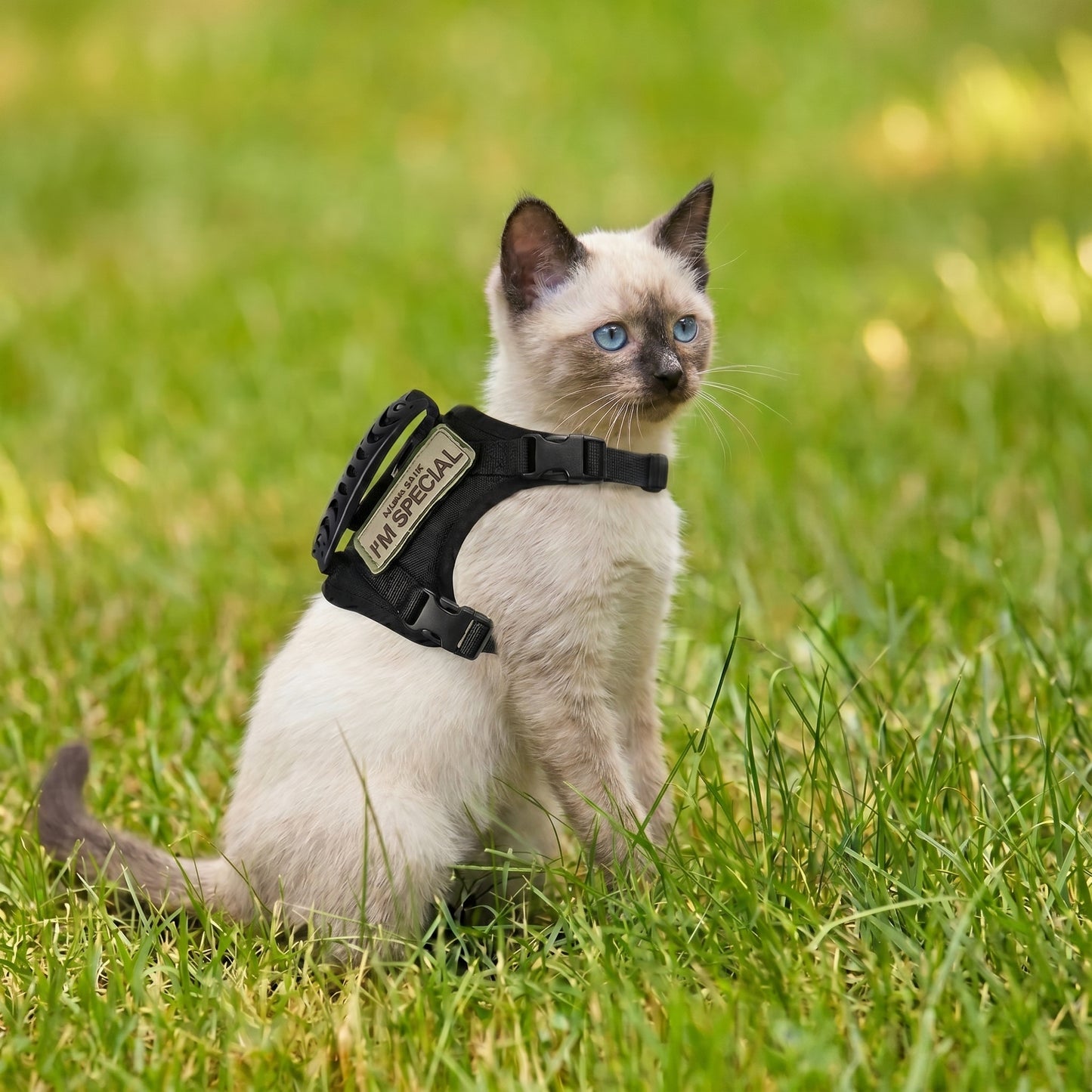 Adjustable Waterproof Cat Vest Harness for Outdoor Walking