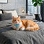 Cute Adjustable Cat Collar with Bell – Colorful Fashion Pet Necklace