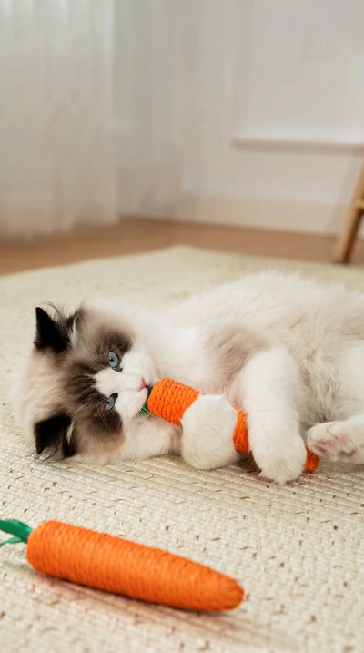 Interactive Carrot Cat Chew Toys – Natural Sisal Cat Toy Set