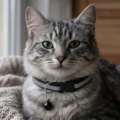 Reflective Adjustable Pet Collar with Bell – 2 Pack for Cats & Small Dogs
