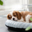 Cooling Mat Dog Bed