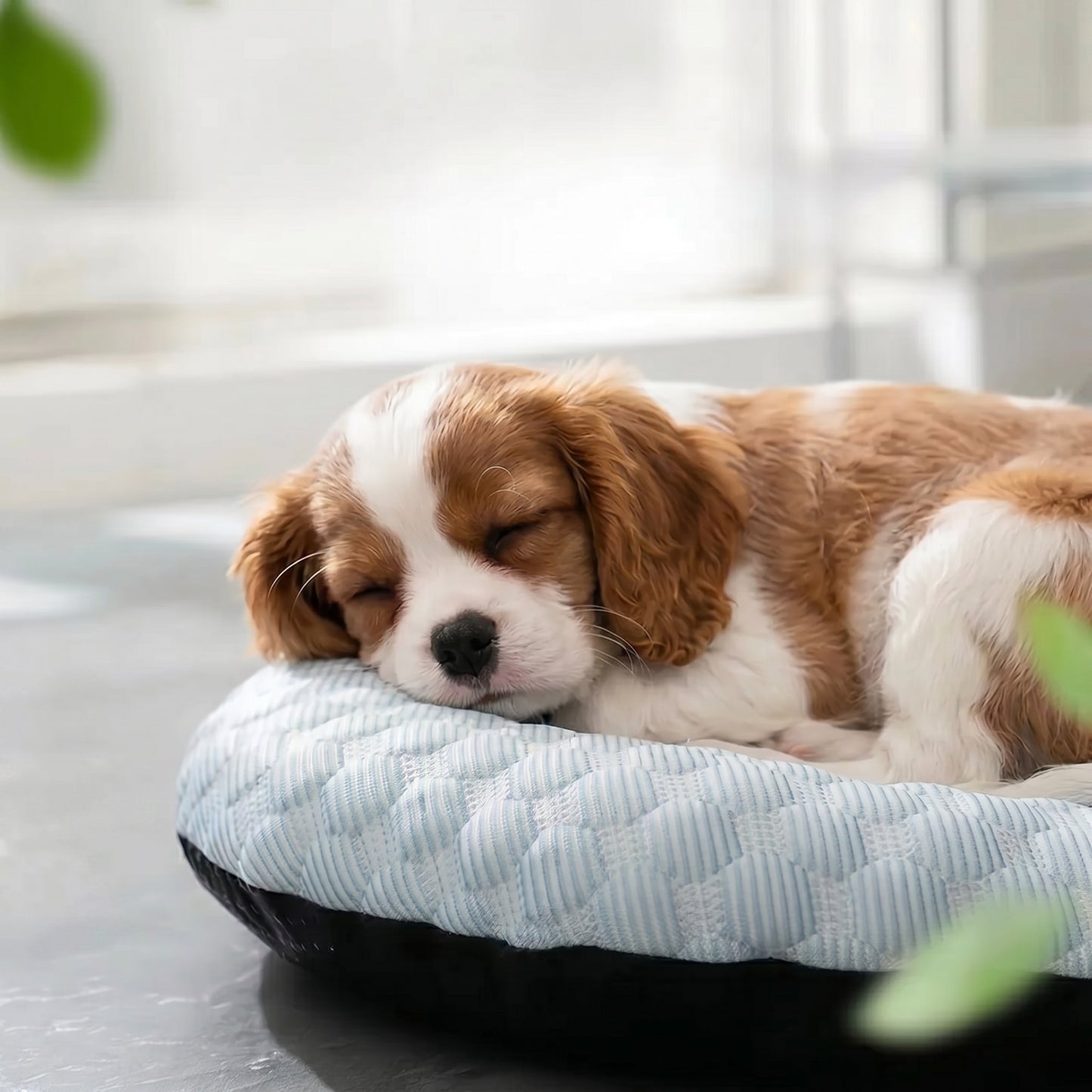 Cooling Mat Dog Bed