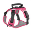 Keep Your Dog Safe, Visible & Trackable — All in One Harness!