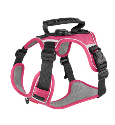 Keep Your Dog Safe, Visible & Trackable — All in One Harness!