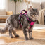 Rose Reflective No-Pull Cat Harness Vest – Adjustable Nylon Breathable Chest Strap