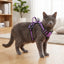 Purple Reflective No-Pull Cat Harness Vest – Adjustable Nylon Breathable Chest Strap