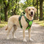 Reflective No-Pull Dog Harness Vest – Adjustable Nylon Breathable Chest Strap
