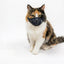 Adjustable Breathable Cat Muzzle – Mesh Grooming Safety Cover