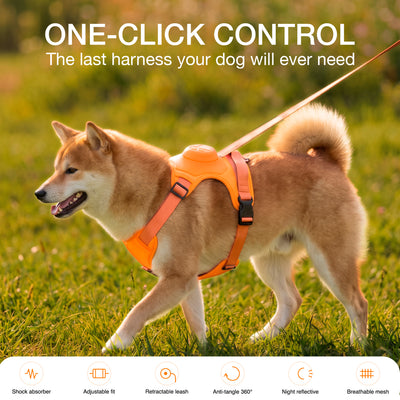 Retractable Dog Leash & Anti-Pull Harness Set