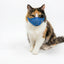 Adjustable Breathable Cat Muzzle – Mesh Grooming Safety Cover